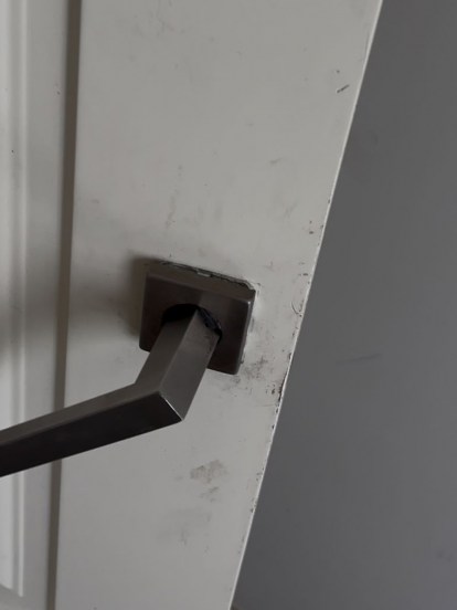 Estado de la vivienda