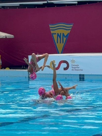 Club Deportivo Pingüinos de Arrecife 