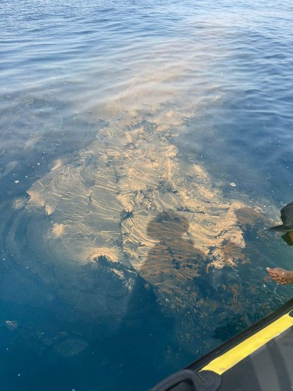 Vertidos en Matagorda 