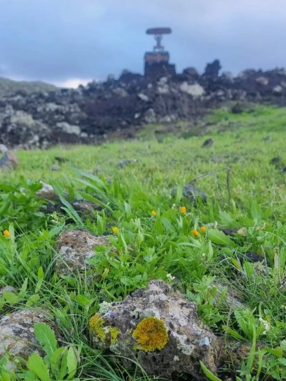 Imágenes del concurso de fotografía de La Voz. Foto: @guarderiadumbo_lanzarote