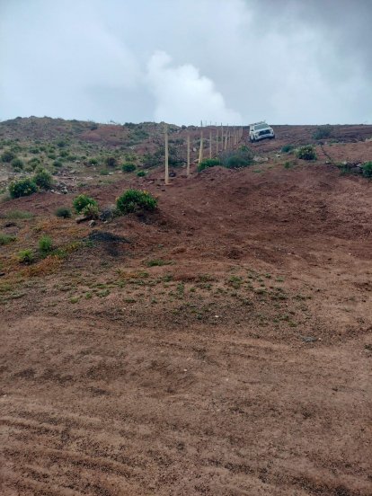 Trabajos de restauración de las cumbres de Famara