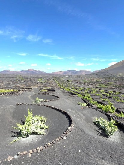 Antonio Lobato visita Lanzarote