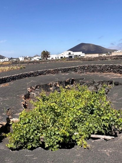 Sara Carbonero en Lanzarote
