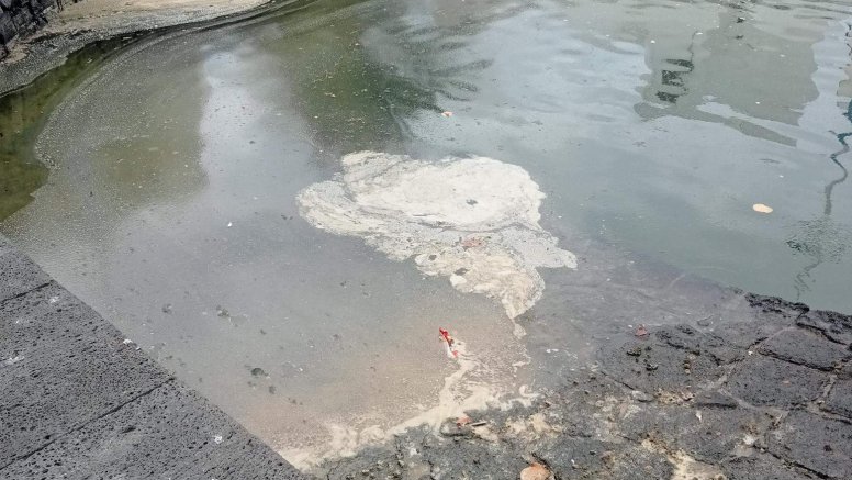 Imágenes del Charco de San Ginés sucio