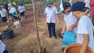 Iniciativa escolar de reforestación de la zona de la Casa Mayor Guerra de San Bartolomé 