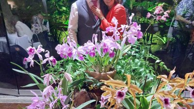 Mauricio Cerpalugo y su esposa Araceli Suárez, creadores de la ambientación con orquídeas