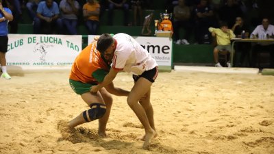 Final lucha Canaria, C.l. Union Norte   Union Sur Tias (25)