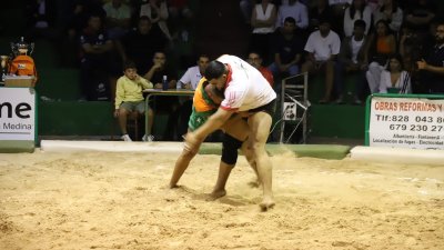 Final lucha Canaria, C.l. Union Norte   Union Sur Tias (28)