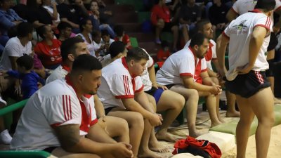 Final lucha Canaria, C.l. Union Norte   Union Sur Tias (29)