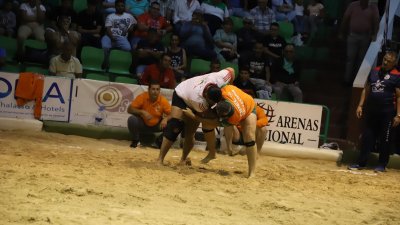 Final lucha Canaria, C.l. Union Norte   Union Sur Tias (38)