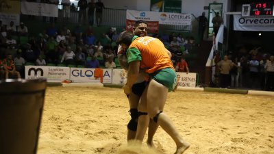 Final lucha Canaria, C.l. Union Norte   Union Sur Tias (39)