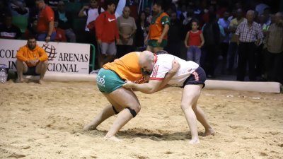 Final lucha Canaria, C.l. Union Norte   Union Sur Tias (40)