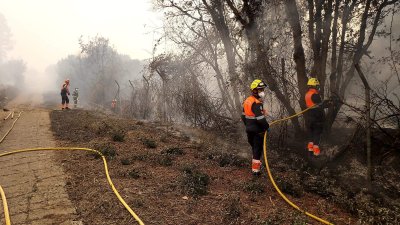 Bomberos de Lanzarote trabajan en el incendio de Tenerife