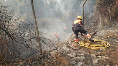 Bomberos de Lanzarote trabajan en el incendio de Tenerife