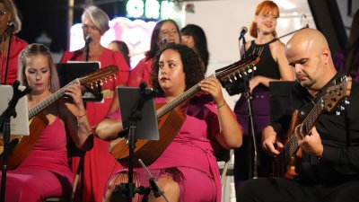Calicanto en Los  Dolores (16)