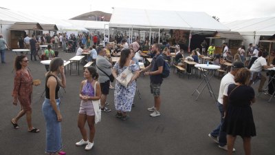 Inauguración de la 34 Feria de Artesanía 