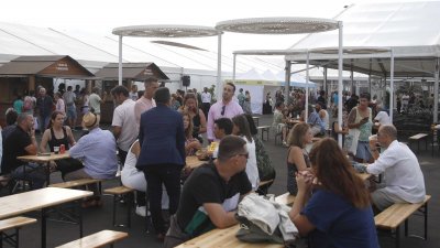 Inauguración de la 34 Feria de Artesanía 