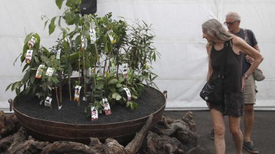 Inauguración de la 34 Feria de Artesanía 