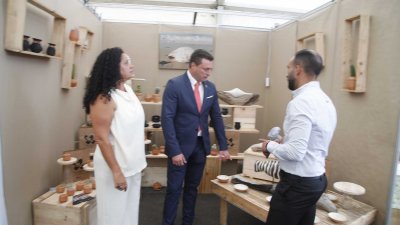 Inauguración de la 34 Feria de Artesanía 
