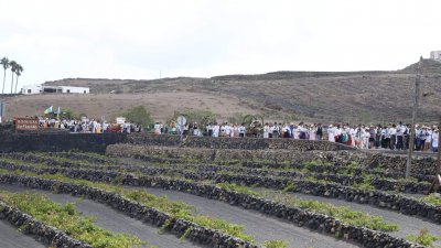 Mañana de romería a Los Dolores, 2023