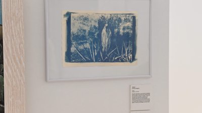 IV edición del Certamen de Pintura Elisa Betancort Delgado
