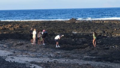 Reportaje fotográfico en Caleta Caballo, 2023