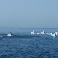 Barcos de pesca en Lanzarote