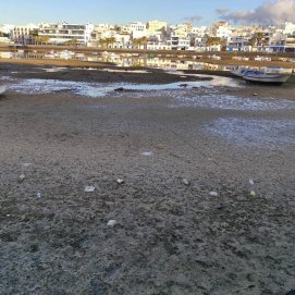 Basura en el Charco de San Ginés