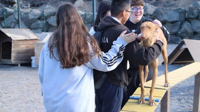 Los alumnos del  'CEO Playa Blanca' en su visita al Centro de Acogida de Animales de Yaiza