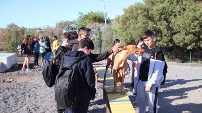 Los alumnos del  'CEO Playa Blanca' en su visita al Centro de Acogida de Animales de Yaiza