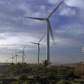 Parque de producción de energía eólica en Los Valles, Lanzarote. Foto: Consorcio del Agua.