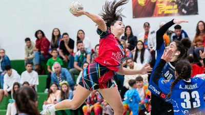 Balonmano Zonzamas