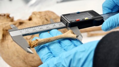 Análisis de los materiales recuperados en el yacimiento de San Marcial de Rubicón