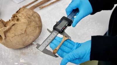 Análisis de los materiales recuperados en el yacimiento de San Marcial de Rubicón