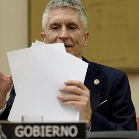 Fernando Grande-Marlaska (José Luis Roca/La Provincia)