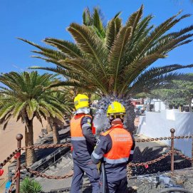 Los bomberos sofocando las llamas