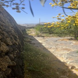 Imagen del barranco que quieren talar en Costa Teguise
