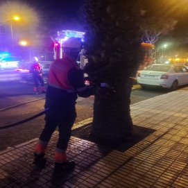 Los Bomberos apagando el incendio de una palmera en la Rambla Medular en Arrecife