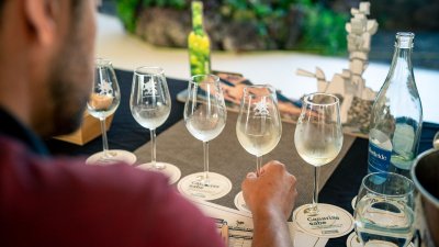 Concurso de Vinos Agrocanarias en Lanzarote 