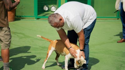 Obras en el Centro de Bienestar Animal de Arrecife