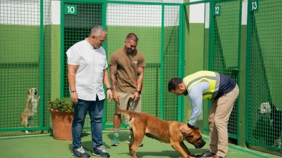 Obras en el Centro de Bienestar Animal de Arrecife