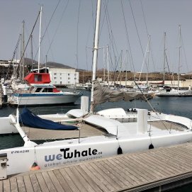 Catamarán sostenible