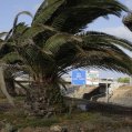 Viento en Lanzarote (Foto: José Luis Carrasco)