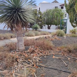 Estado de las calles de Costa Teguise
