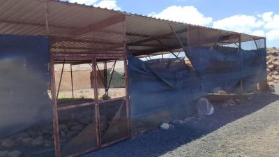 Denuncian el estado del yacimiento de Zonzamas 