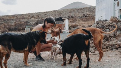 El refugio La Casa de las Estrellas en Teguise