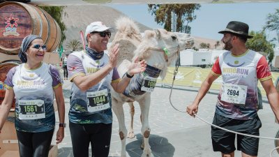 Lanzarote Wine Run 2024