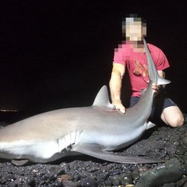 Detenido por el responsable de la venta de excursiones para la captura de tiburones protegidos en Lanzarote