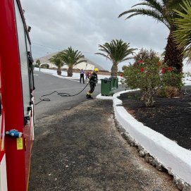Bomberos extinguiendo el incendio producido en una palmera en San Bartolomé