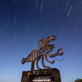 La fotografía capturada por Juan Méndez Quesada en los Jameos del Agua.